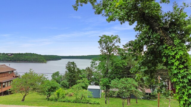 26225 Farm Rd Unit 1209, Eagle Rock, MO 65641 - water view