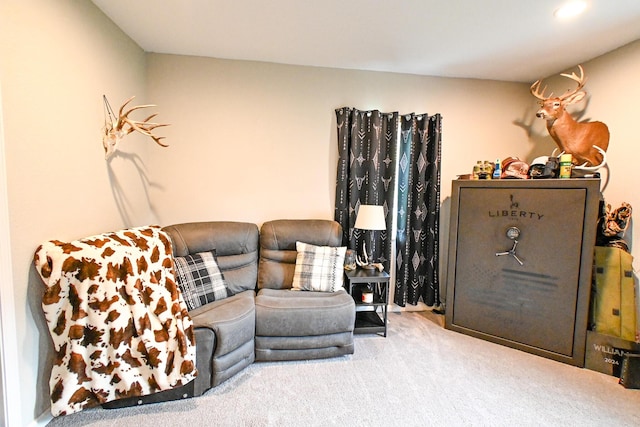 511 C St, Deepwater, MO 64740 - living area featuring carpet flooring