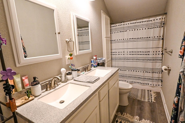511 C St, Deepwater, MO 64740 - bathroom with double vanity, wood finished floors, toilet, and a textured wall