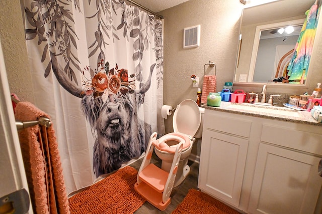 511 C St, Deepwater, MO 64740 - full bathroom featuring a textured wall, vanity, toilet, and a shower with curtain