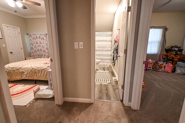 511 C St, Deepwater, MO 64740 - corridor with carpet flooring, crown molding, and baseboards