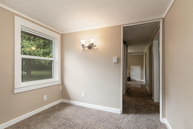 1104 E Buffalo St, Bolivar, MO 65613 - empty room with carpet flooring, baseboards, crown molding, and a textured ceiling