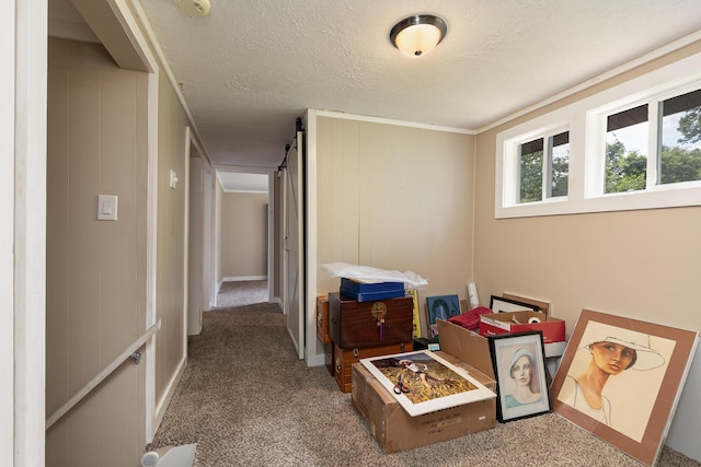 1104 E Buffalo St, Bolivar, MO 65613 - hallway with carpet floors, a textured ceiling, and baseboards