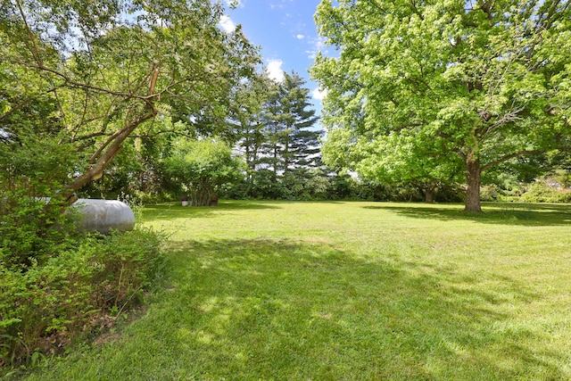 1104 E Buffalo St, Bolivar, MO 65613 - view of green lawn
