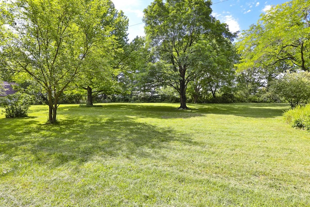 1104 E Buffalo St, Bolivar, MO 65613 - view of green lawn