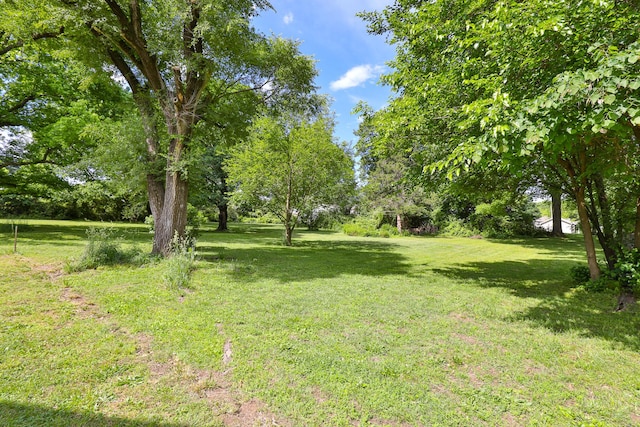 1104 E Buffalo St, Bolivar, MO 65613 - view of grassy yard