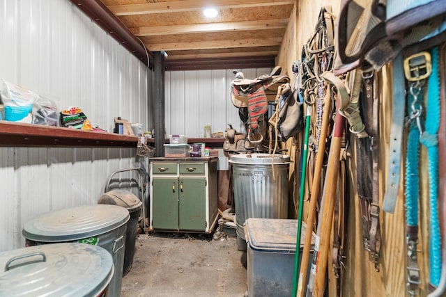36205 State Highway 413, Crane, MO 65633 - view of below grade area