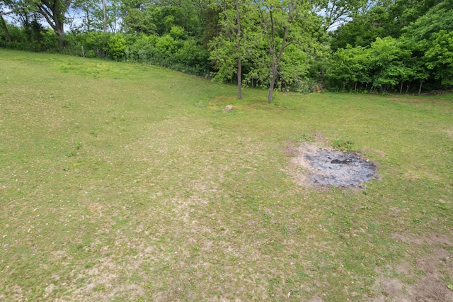 36205 State Highway 413, Crane, MO 65633 - view of green lawn