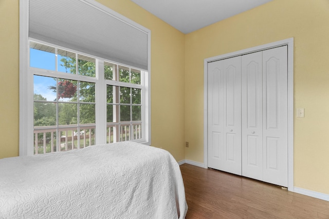 36205 State Highway 413, Crane, MO 65633 - bedroom with wood finished floors, baseboards, and a closet