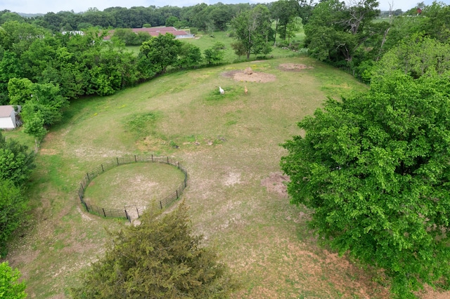 36205 State Highway 413, Crane, MO 65633 - view of rural area
