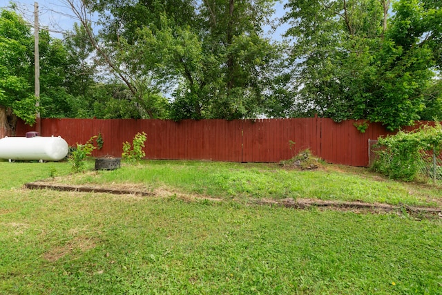 36205 State Highway 413, Crane, MO 65633 - view of yard