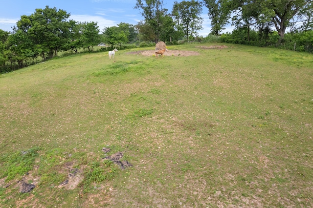 36205 State Highway 413, Crane, MO 65633 - view of green lawn