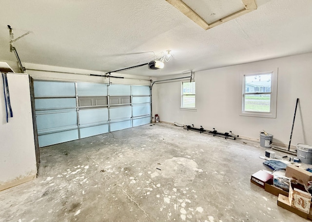 8030 Indiana Dr, Houston, MO 65483 - garage with a garage door opener