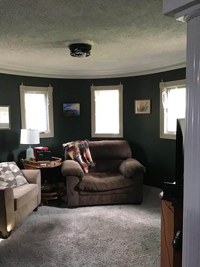 310 S 6th St, Thayer, MO 65791 - carpeted living area with a textured ceiling and healthy amount of natural light
