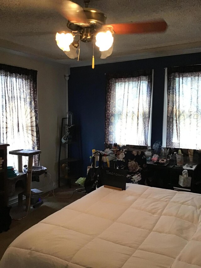 310 S 6th St, Thayer, MO 65791 - bedroom featuring multiple windows and a ceiling fan