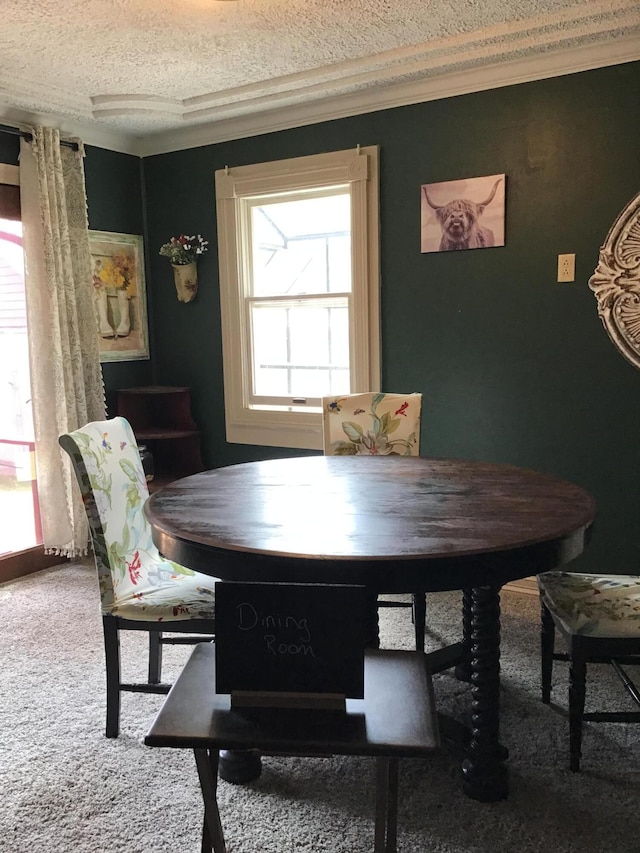 310 S 6th St, Thayer, MO 65791 - dining area with ornamental molding, carpet flooring, and a textured ceiling
