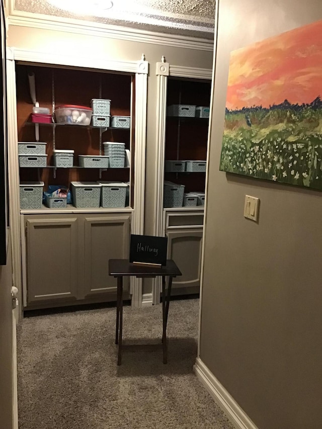 310 S 6th St, Thayer, MO 65791 - detailed view of carpet flooring and crown molding