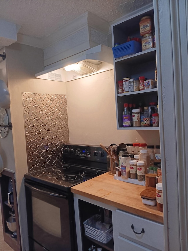 310 S 6th St, Thayer, MO 65791 - kitchen with electric range, wood counters, a textured ceiling, and crown molding