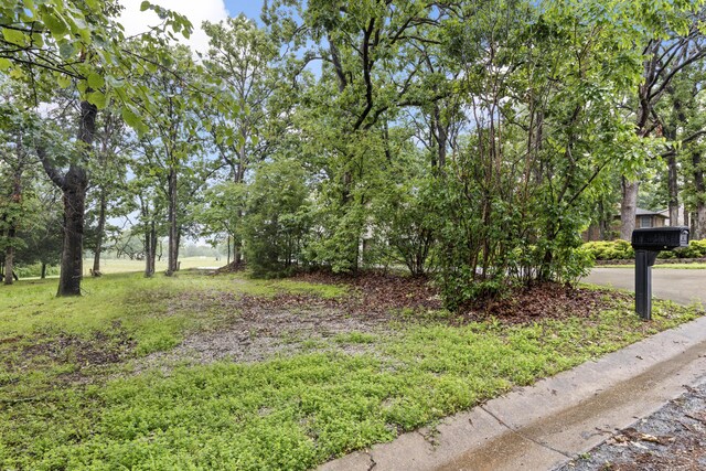 1004 White Oak, El Dorado Springs, MO 64744 - photo 17