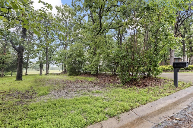 1004 White Oak, El Dorado Springs, MO 64744 - photo 41