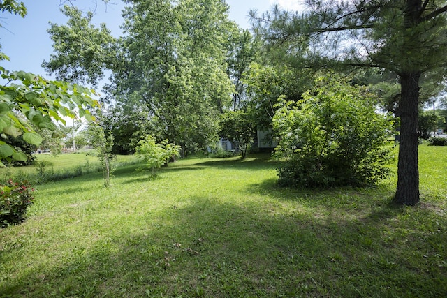 1443 6th St, West Plains, MO 65775 - view of green lawn