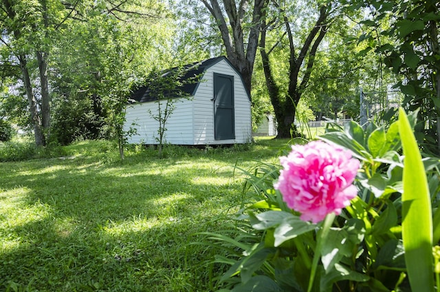 1443 6th St, West Plains, MO 65775 - view of grassy yard