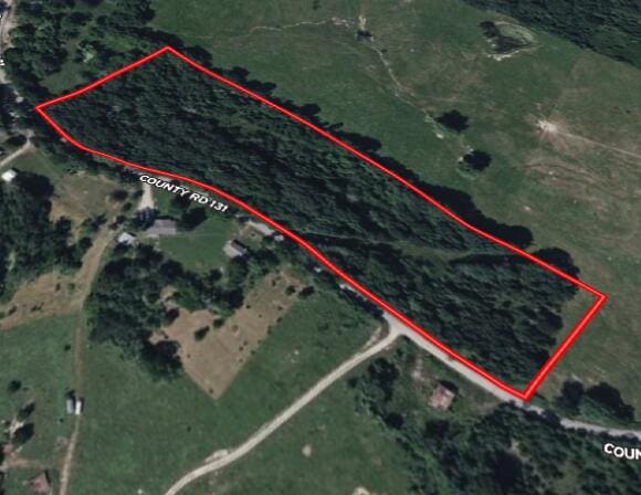 000 County Road 131, Wasola, MO 65773 - photo 5