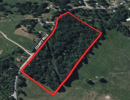 000 County Road 131, Wasola, MO 65773 - photo 8