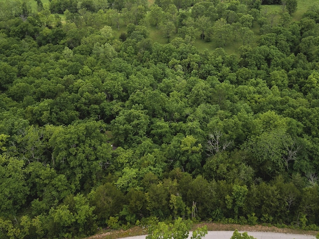 000 County Road 131, Wasola, MO 65773 - photo 1