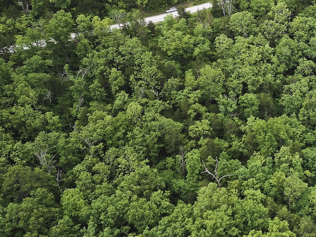 000 County Road 131, Wasola, MO 65773 - photo 7