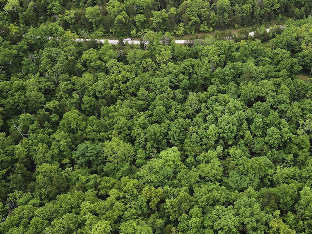 000 County Road 131, Wasola, MO 65773 - photo 6