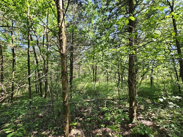 000 E 490th Rd, Bolivar, MO 65613