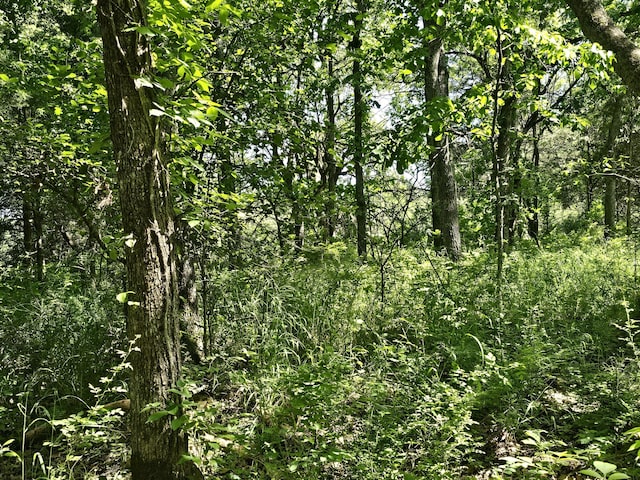 000 E 490th Rd, Bolivar, MO 65613
