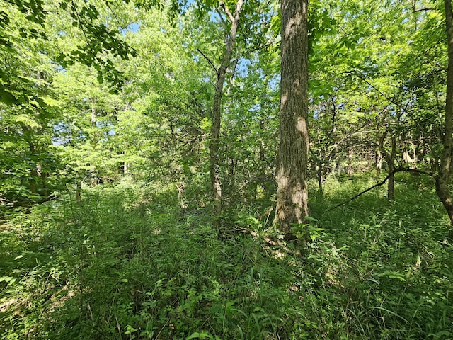 000 E 490th Rd, Bolivar, MO 65613