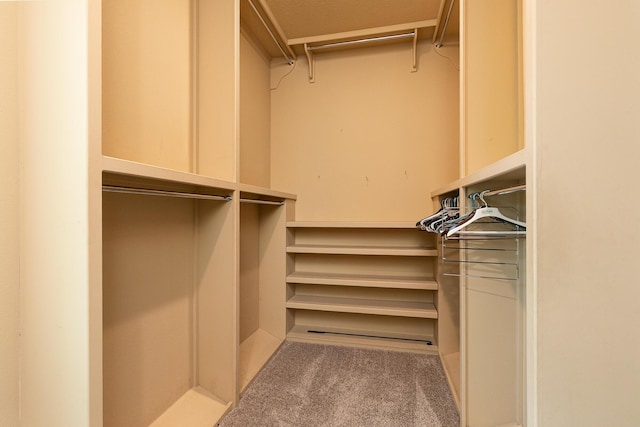184 Appaloosa Trl, Saddlebrooke, MO 65630 - walk in closet featuring carpet