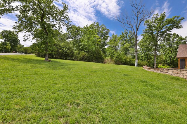 184 Appaloosa Trl, Saddlebrooke, MO 65630 - view of grassy yard