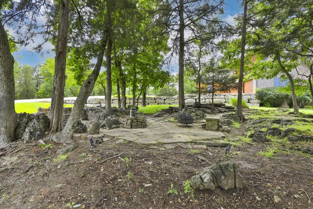 184 Appaloosa Trl, Saddlebrooke, MO 65630 - view of yard featuring a fire pit
