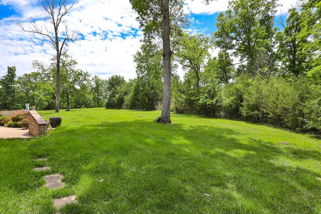 184 Appaloosa Trl, Saddlebrooke, MO 65630 - view of grassy yard