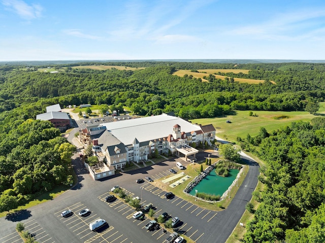 180 Grace Chapel Rd, Blue Eye, MO 65611 - aerial view of a heavily wooded area