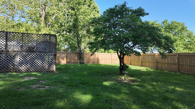 606 W Clover Dr, Clinton, MO 64735 - view of yard