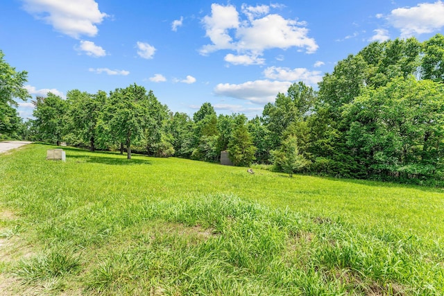 111-141 Gooseberry Ct, Branson, MO 65616 - view of yard with a view of trees