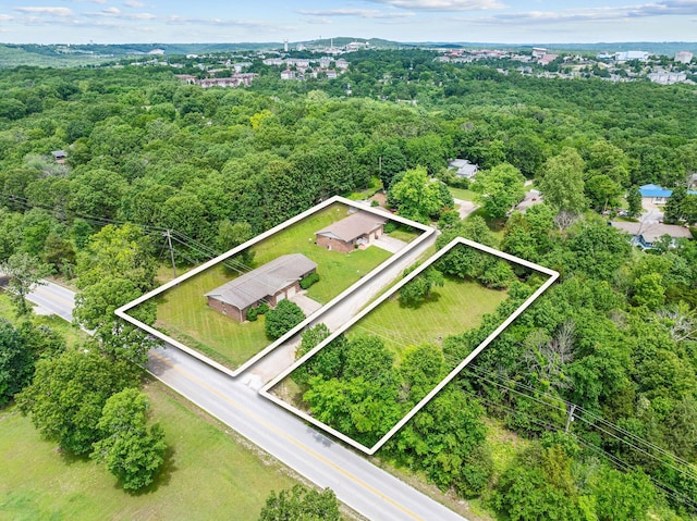 111-141 Gooseberry Ct, Branson, MO 65616 - aerial overview of property's location featuring property parcel outlined and a forest