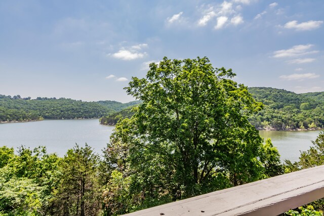 102 Garden Ln, Lampe, MO 65681 - photo 4