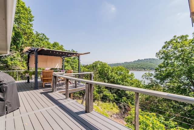 102 Garden Ln, Lampe, MO 65681 - photo 5