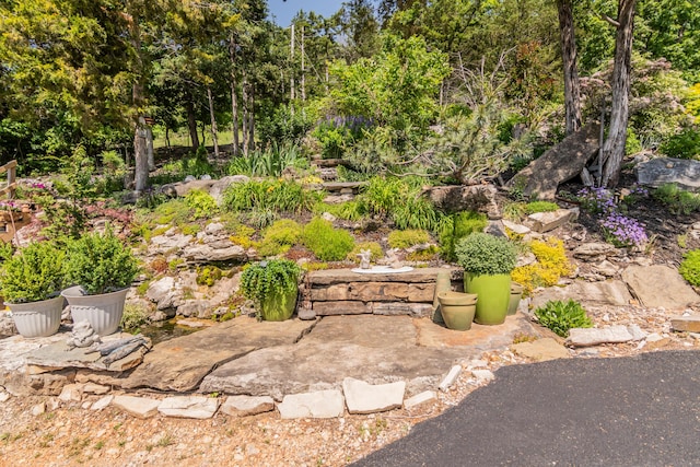 102 Garden Ln, Lampe, MO 65681 - photo 39