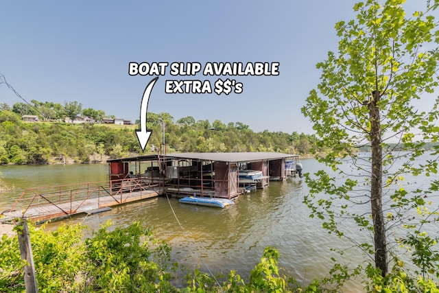 102 Garden Ln, Lampe, MO 65681 - photo 45