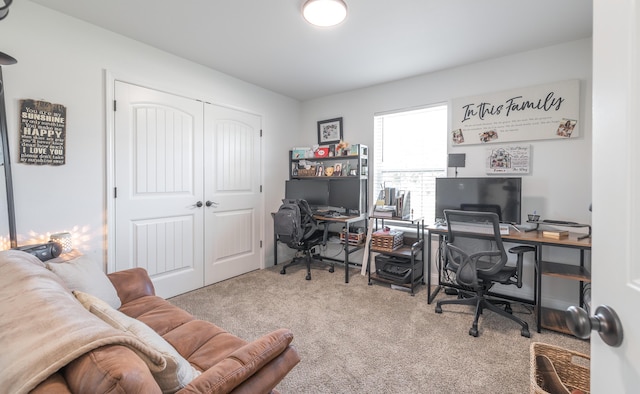205 Seigenbein Rd, Saint Robert, MO 65584 - view of carpeted office