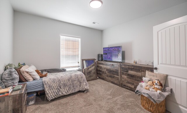 205 Seigenbein Rd, Saint Robert, MO 65584 - bedroom with carpet floors