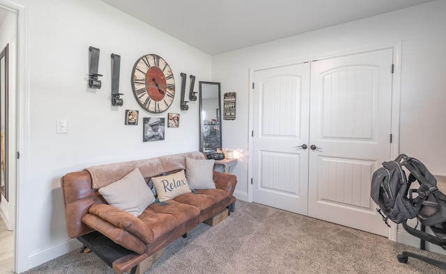 205 Seigenbein Rd, Saint Robert, MO 65584 - living area with carpet and baseboards