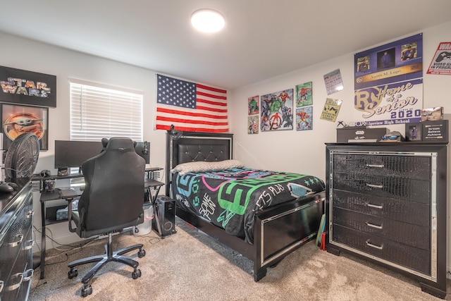 205 Seigenbein Rd, Saint Robert, MO 65584 - view of carpeted bedroom